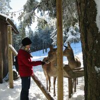Winter Naturpark Hohe Wand