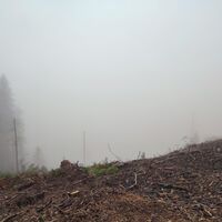 Blick zum Kleinen Arbersee, wenn man was sehen würde