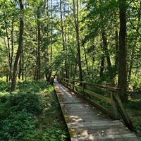 Rückblick auf die schon etwas morsche Brücke über den Laufenbach