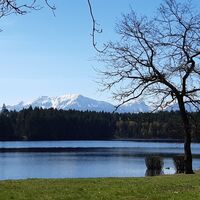Forstsee