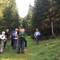 Der erste Teil des Weges durch den Wald
