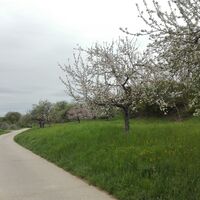 Richtung Eschelbronn