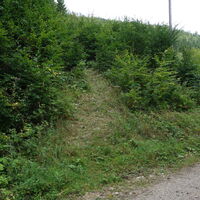 Einstieg Forststraße in den Grassteig