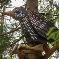 Wildtiererlebnispfad