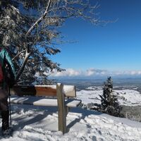Aussicht vor Pfyffe Richtung Mittelland