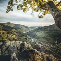 Blick vom Zauberweg auf Schlechtnau