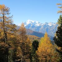 Auf dem Höhenweg Visperterminen Gspon, Blick auf das Weisshorn