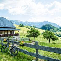 Falkensteinalm