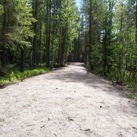 Lentuankosken Pfad, Kuhmo
