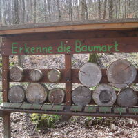 Wald-Erlebnis-Lehrpfad Birresborn (4)
