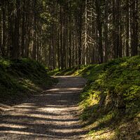 20250428_Leitenrundweg_3788.jpg