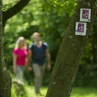 Unterwegs auf dem Wanderweg