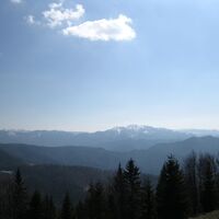 Türnitzer Höger