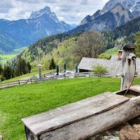 19.3 km Ebneralm