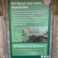 Walderlebnispfad Lärchenwald Tegernsee