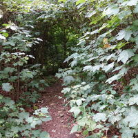 am Weg nach Hadersfeld zum Gipfel und Obelisk