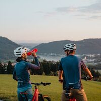 Radtour Donauradweg Blick auf Grein Perg