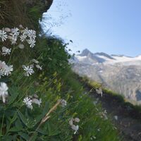 Anstieg Noitroisteig zur Thüringerhütte
