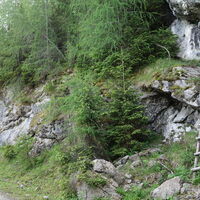 der lange Aufstieg über die Forststaße