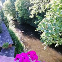 ... durch die Ortsgemeinde Siebeldingen.