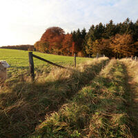 Bergischer Panoramasteig bei Speckenbach