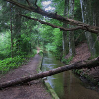 Sturmschaden am Heidenwuhr