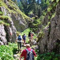 wanderung durch die notgassen-schlucht_img_15623257