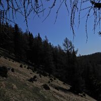 Schwabenbartl - Windgrube - Mittereralm - Fölzalm