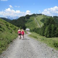 Wurzenpass - Göriacher Alm