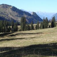 Blick Richtung Valzeina