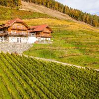 Restaurant Leiten am Weingut Karnburg