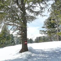mit schneeschuhen von hütte zu hütte_img_56103693