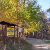 Località Quattro Strade