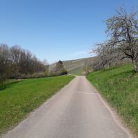 Weg vor Strümpfelbach