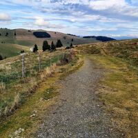 Weg zur Stoakoglhütte_Naturpark Almenland_Oststeiermark