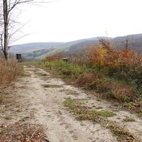 Abstieg zur Lourdesgrotte
