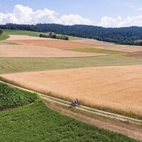 Mountainbiken im Mühlviertler Granitland