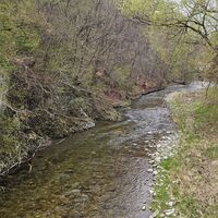 Die Schwechat in Sattelbach