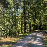 Bernau im Schwarzwald Zu den Glanzpunkten über dem Hochtal (7)