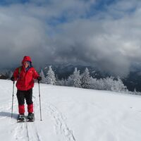 Ebenwald - Reisalpe