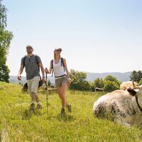 Wandern auf dem GR5