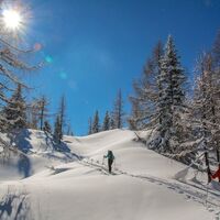 kurz vor der Baumgrenze