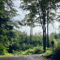 Sulzbachtrail