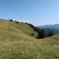Obere Wies