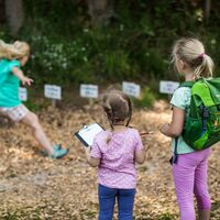 Motorikpfad in der Hasenkammer Medebach