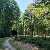 Forstdiensthütte im Abstieg zum Llaufenbach