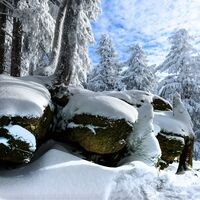 Winter Landschaft
