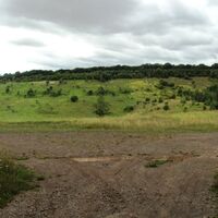 Salzgitter Höhenzug, ehemaliger Tagebau Haverlahwiese als Abstecher vom Wanderweg 25