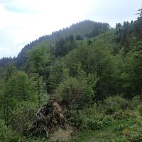 Blick zurück Hüttenkogel mit Jagdhütte