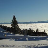 Stierenhütte Ausgangspunkt - Winterwanderung Selibüel